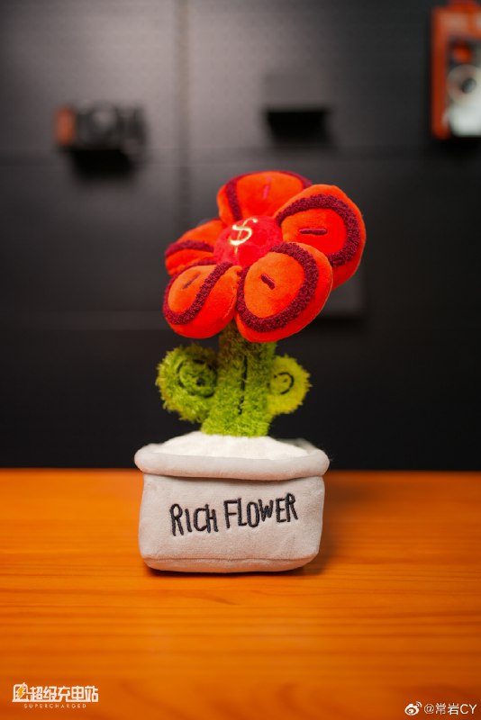 幾年前，超級植物推出了有錢花擺件，買回來之後我司就一直保持了（省略幾個字）……配圖