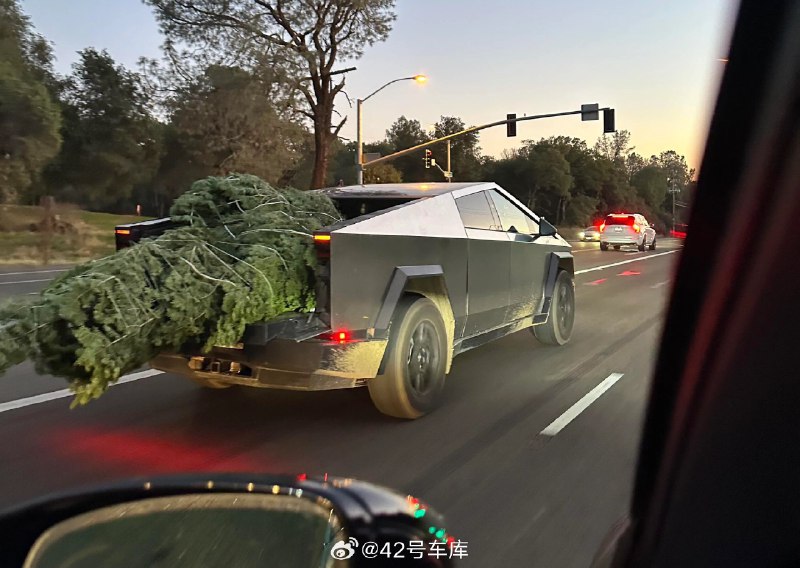 圣诞季将近，Cybertruck 也加入了拉树🎄的行列[二哈]配图