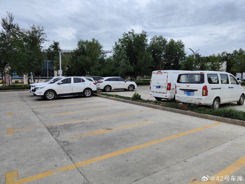 在新疆博乐这两天，根据我的观察，新能源汽车确实比较少。配图