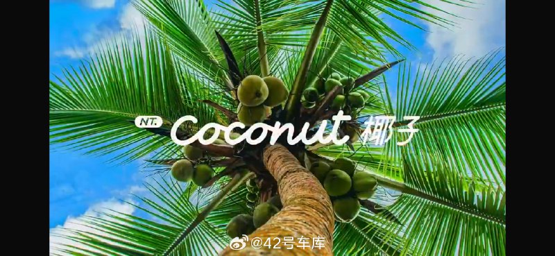 乐道公布了自己的智能系统名字，跟蔚来以树来命名不同，乐道用了水果，叫 Coconut 椰子，很热带度假风，还蛮符合乐道的家庭定位。配图