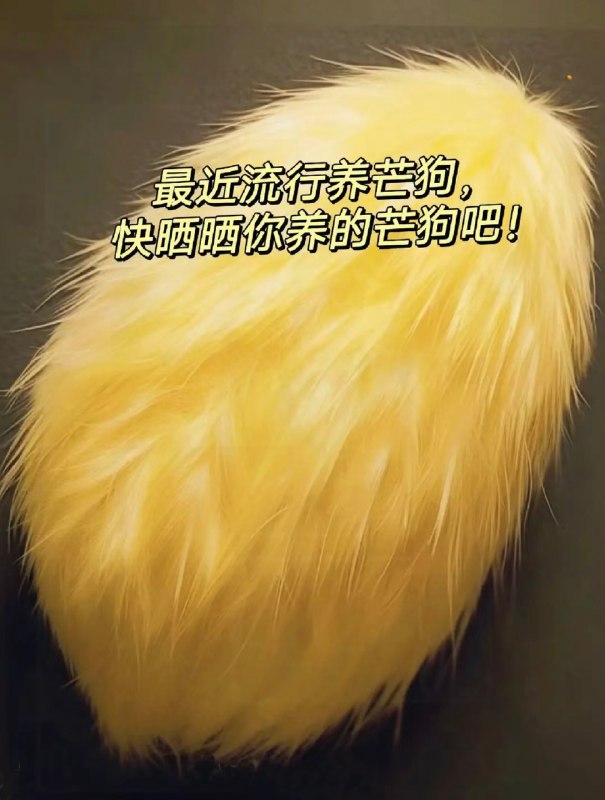 昨天在小紅書上刷到了。。。配圖