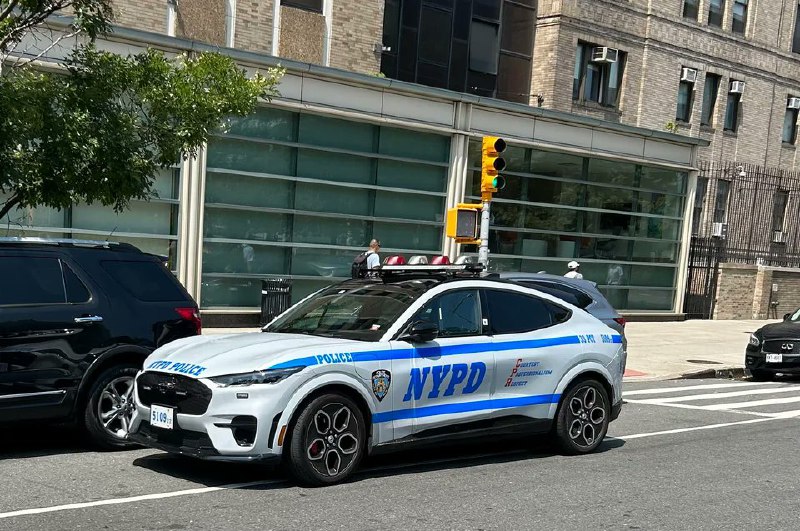 NYPD Mach-E配图