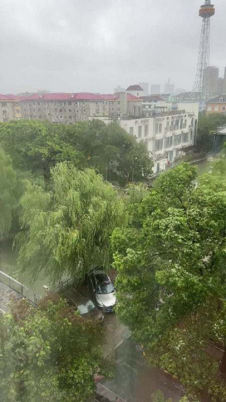 沉浸式感受一下「贝碧嘉」的威力[衰][衰]配图