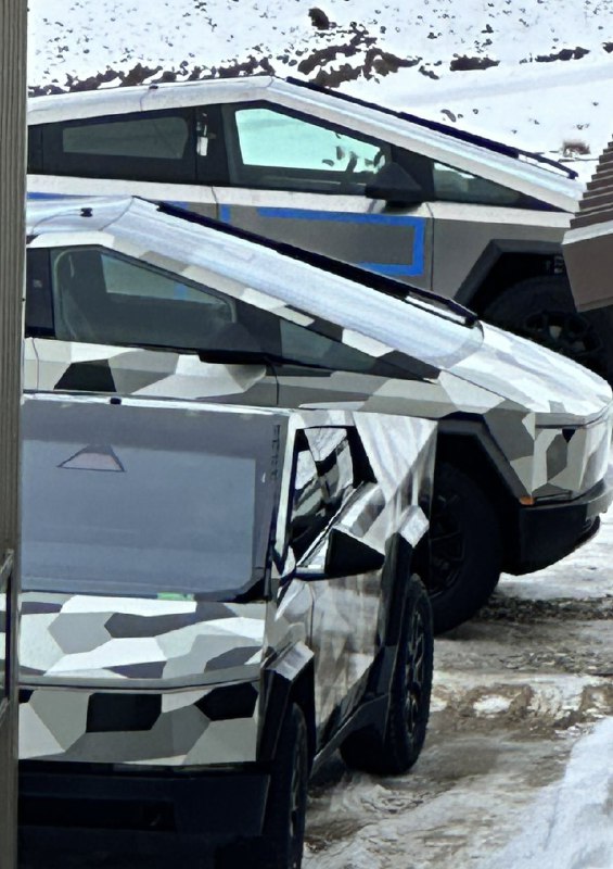 NEWS: 5 Tesla Cybertrucks spotted in New Zealand.配圖