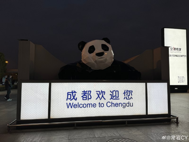 时间重启猫。 成都·双流国际机场配图