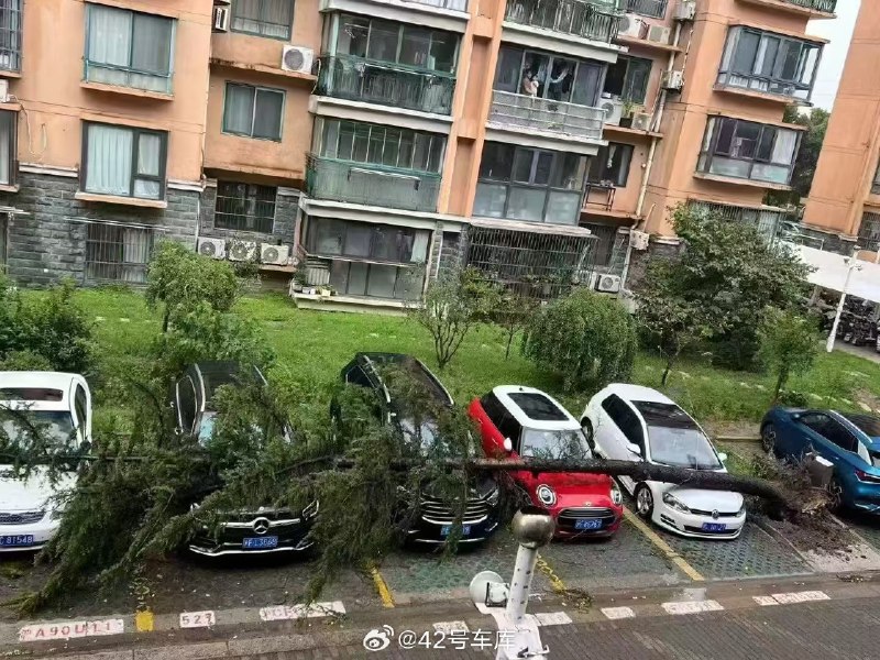 Mini：感谢身边的两位好兄弟[doge][doge]没想到车小不仅停车更方便，关键时刻还能「抗台风」😂😂配图