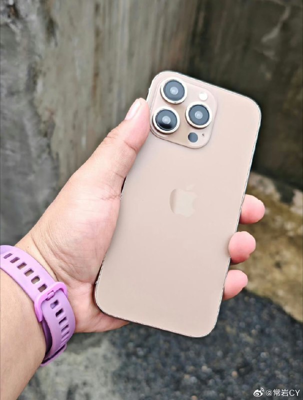据说已经有人拿到了 iPhone 16 Pro 的玫瑰金机模[doge]配图