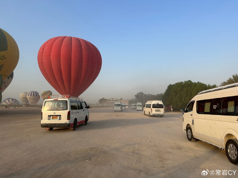 如果你生活在埃及，你就会觉得应该重仓丰田，感觉整个国民经济都是丰田在运输着[doge]埃及·图坦卡蒙法老之墓配图