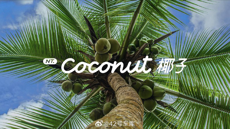 乐道 L60 因为是首发 SkyOS 和 Coconut 的车型，所以在这一波智能系统的发布上信息量给的特别多，刚才@乐道埃里克 又分享了很多信息，大概汇总如下：配图