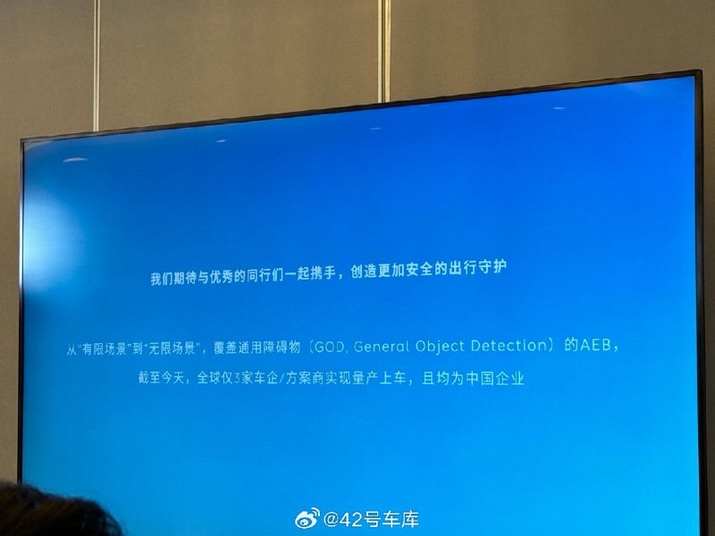 目前，覆盖通用障碍物的 AEB 全球仅有三家量产上车，并且都是中国企业。配图