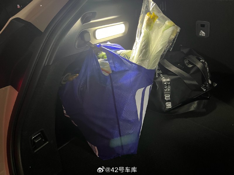 蔚来 ET5t 这个后备箱的搭扣挂钩还是挺好用的，比常见的翻扣挂钩固定效果更好，即便是装满的手提袋也不容易洒出来，给设计师加鸡腿[二哈]配图