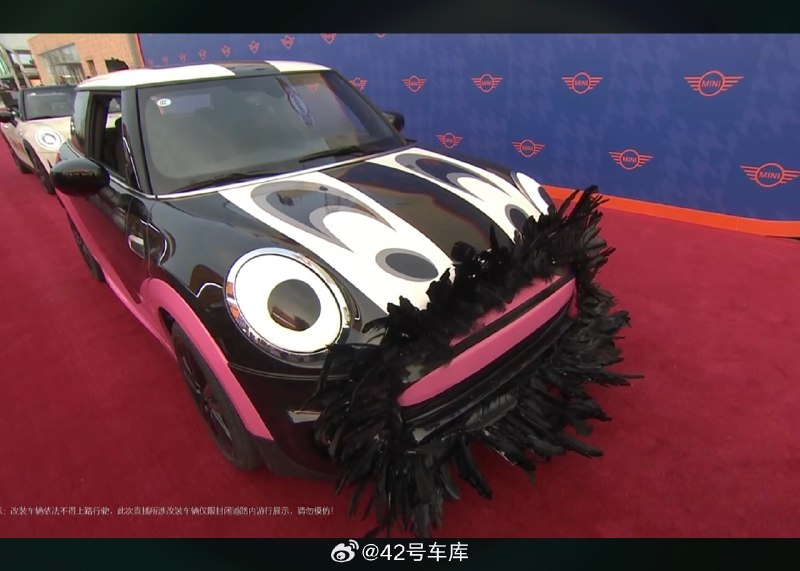 MINI 发布会的走红毯环节大家都看了吗？配图