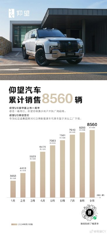 仰望上市一年，累计交付 8560 辆，你觉得这个成绩怎么样？配图
