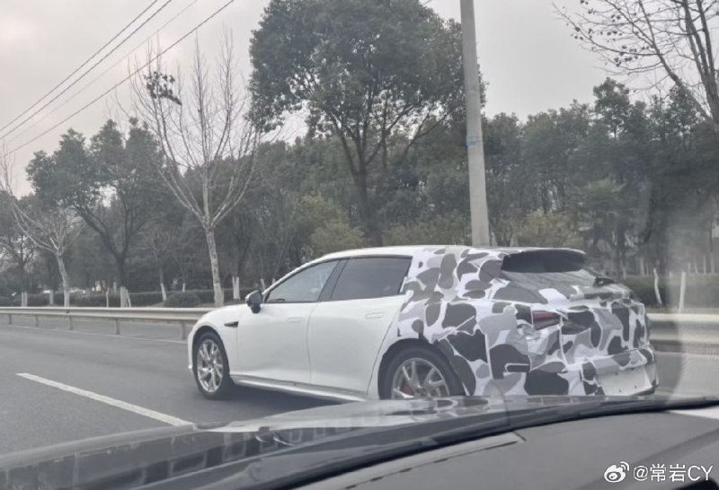 哪吒S要上獵裝版了。配圖