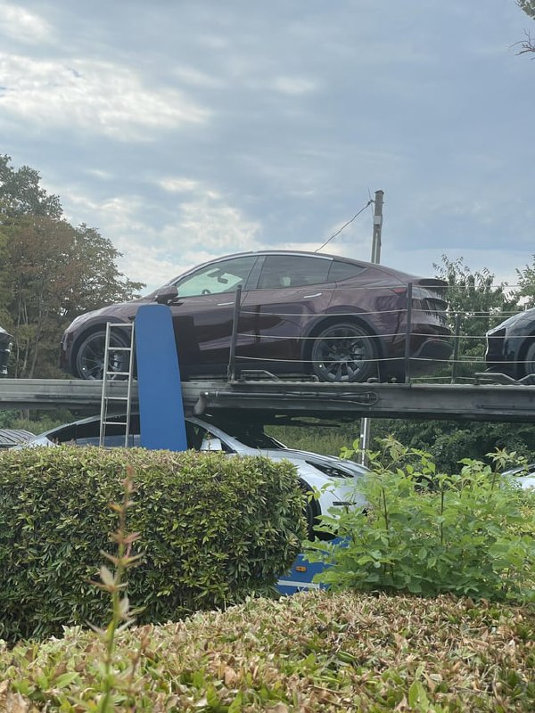 Crimson Red Model Y spotted in Germany配图
