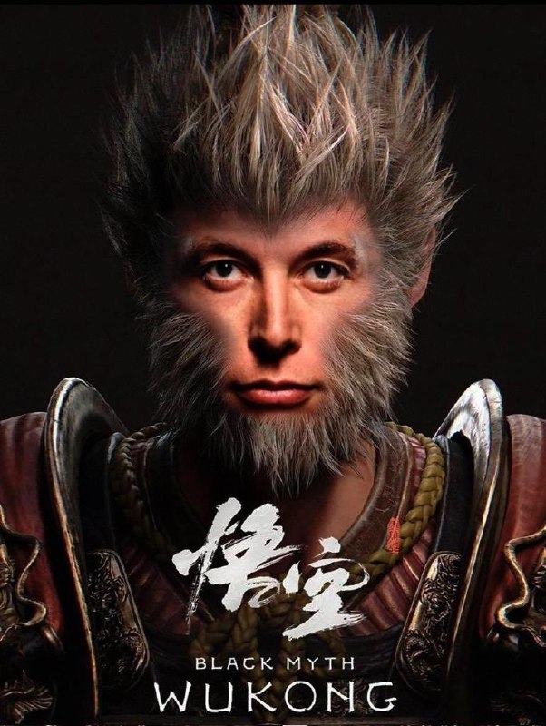有一家是L，還有一家是誰？🐱配圖
