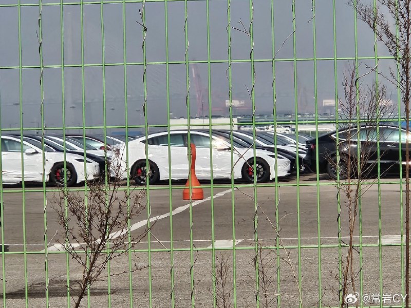 在特斯拉位于韩国的仓库中发现了多辆被遮盖的 Model 3 Ludicrous 量产版。 德国·法兰克福国际机场配图
