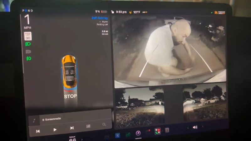 FSD v14 Lite被曝倒车时无法检测物体配图
