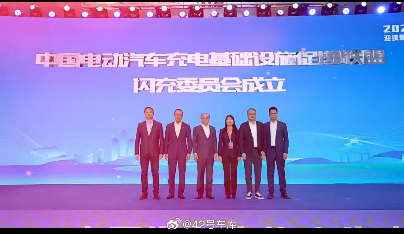 国内首个由豪华汽车品牌组成的闪充委员会成立。配图