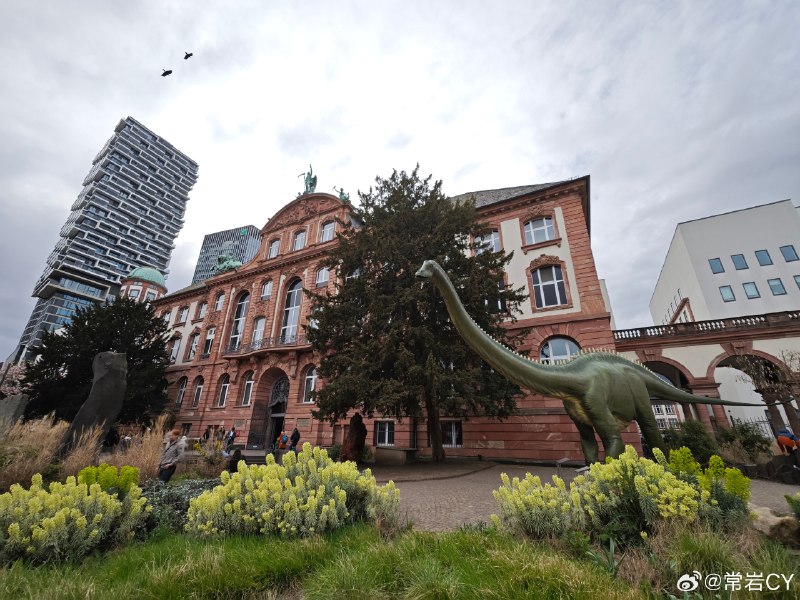 今天最大的意外情绪价值来自 Senckenberg 自然博物馆。配图
