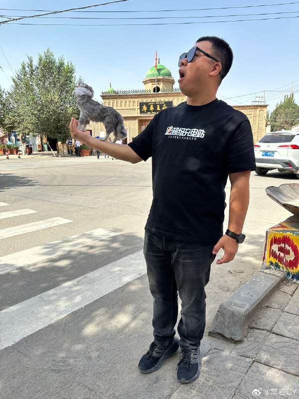 我进疆第一天，就被告知路上可能有野狼。配图