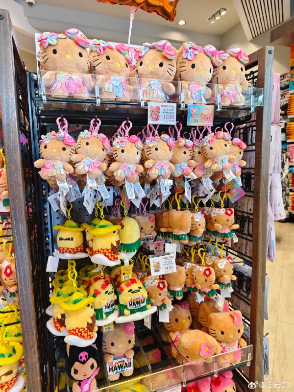 买到了夏威夷独占的官方晒黑版本 Hello Kitty！ 美国·Wailea Beach Resort - Marriott Maui配图