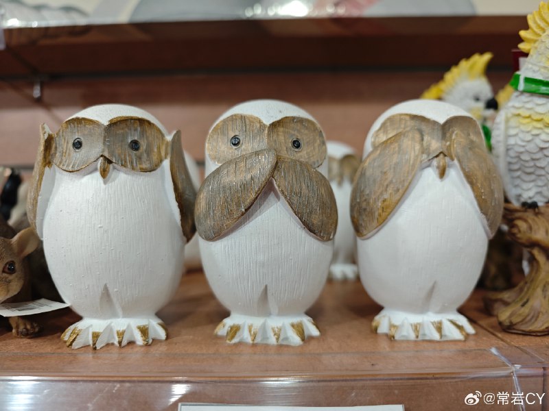 “不看、不听、不说”（See No Evil, Hear No Evil, Speak No Evil）是澳大利亚流行的一种社交游戏，也被称为“三猿游戏”或“三不猴”。配图