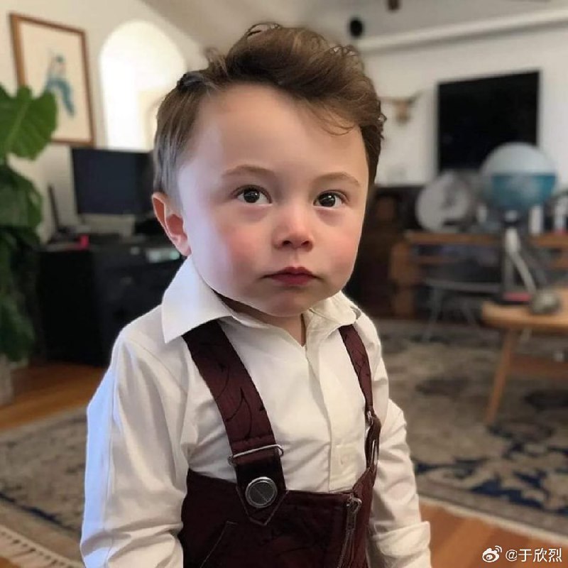 馬斯克創造了或者説重新定義了一個詞：初級通用人工智能（Baby AGI）。他認為特斯拉的 AI 系統達到了初級通用人工智能的水平。（之前有個 AI 工具叫 BabyAGI）配圖