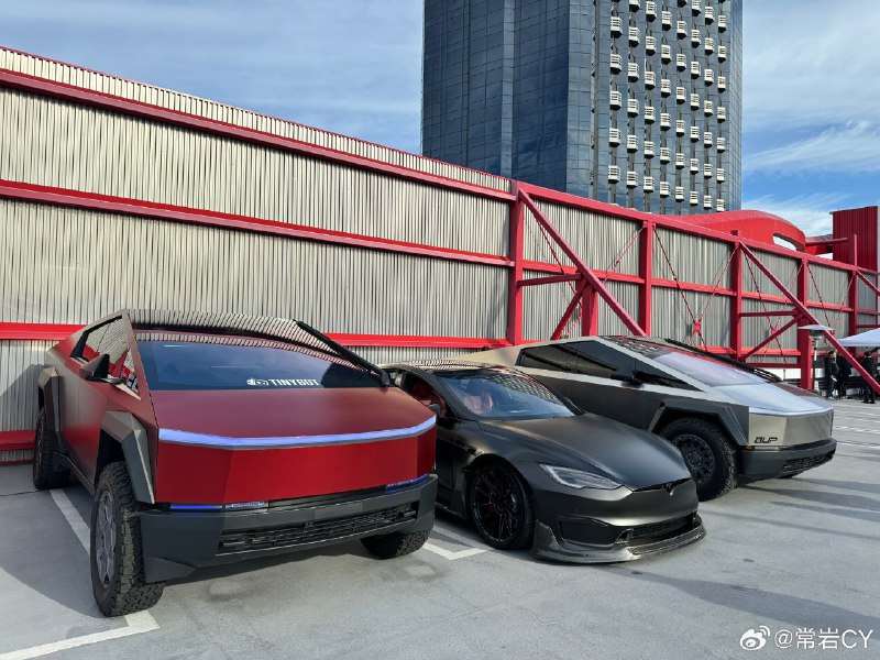 彼得森静默巡航 (Petersen Silent Cruise) 是一个以特斯拉为主题的电动车大集合。配图