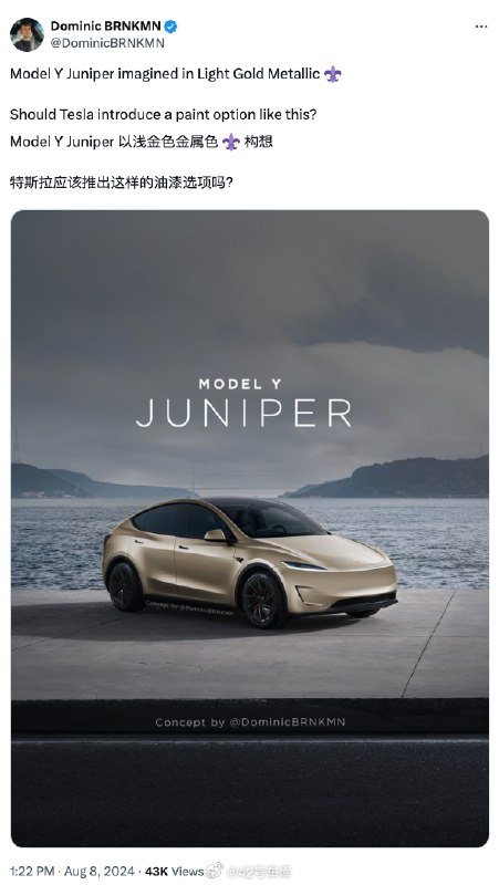 金色的 Model Y Juniper 假想图。配图