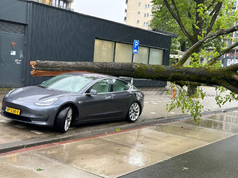 Not something you would expect everyday but in the case of such unthinkable scenarios, you know which car you rather have.配图