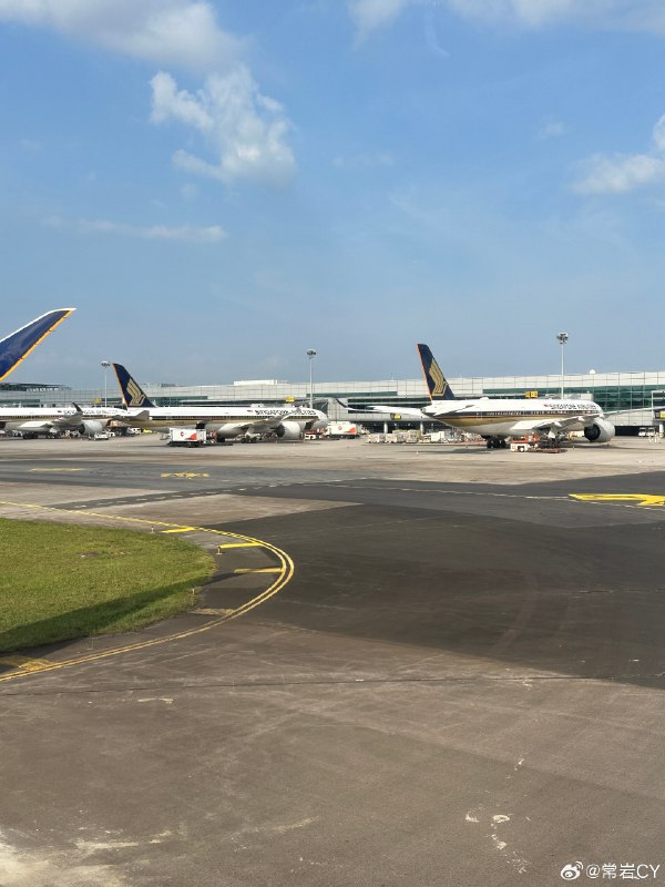 消失6个小时。 新加坡·新加坡樟宜国际机场(Changi Airport)配图