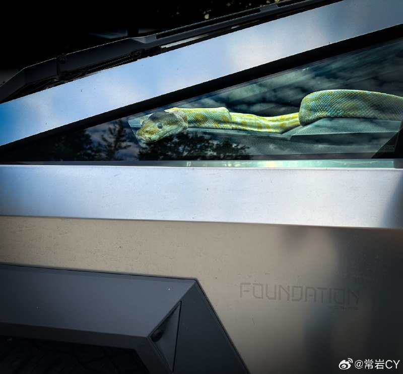 Cybertruck官号转发了一张用户的照片：宠物模式。配图