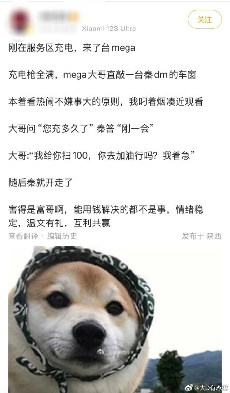 哪个大哥！体面的狠啦！🐱配图