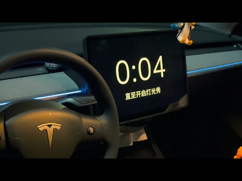 迎龙年，灯光秀走起🎵新年“乐”来“乐”好[舞狮]#LightWithTesla#配图
