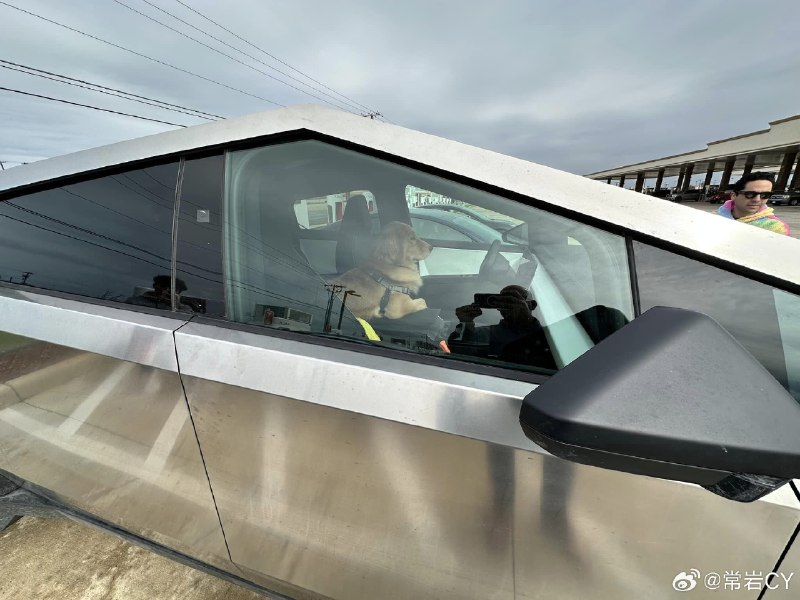谁是第一个开上Cybertruck的人不知道，但谁是第一条开上Cybertruck的狗找到了[doge]配图