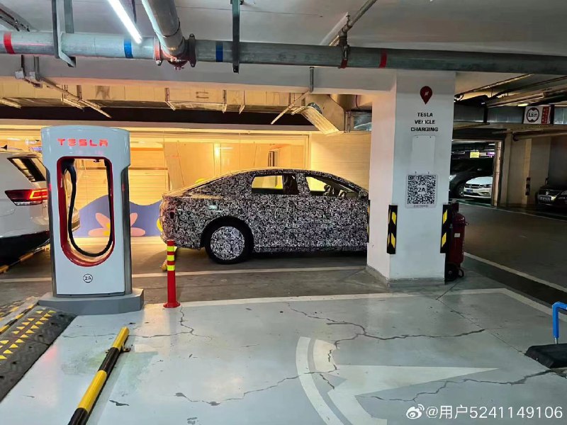 这是哪家的？配图