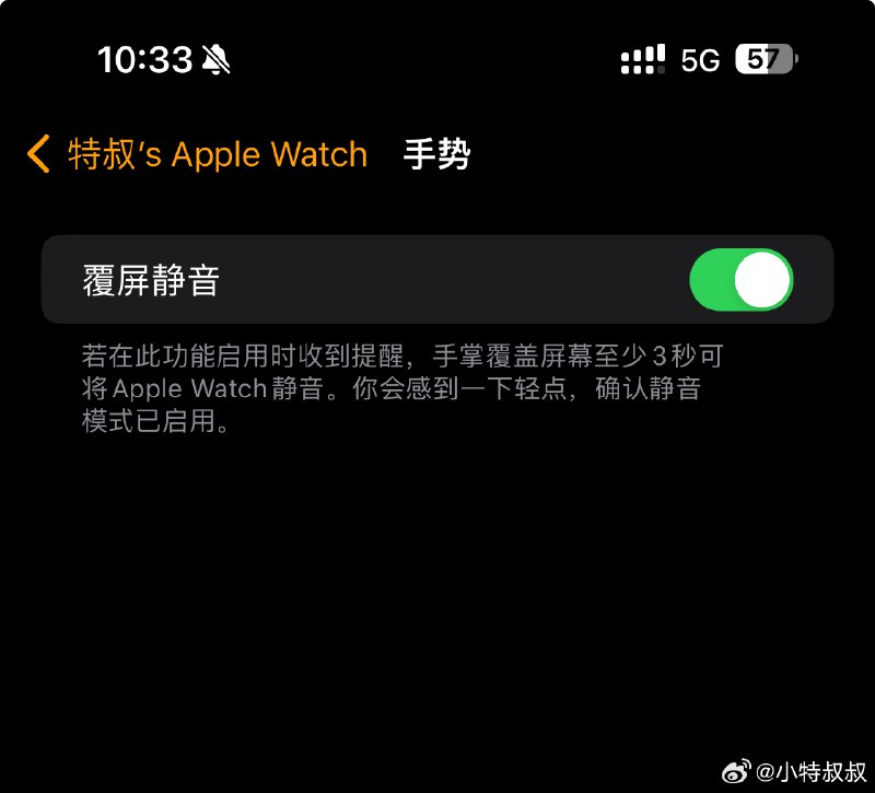 为什么我这个手势里没有双击操作呢？配图