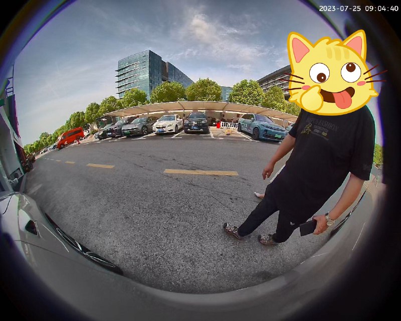 守卫模式还挺灵敏，上车提醒有事件：还好这大金表并没划到我车～配图