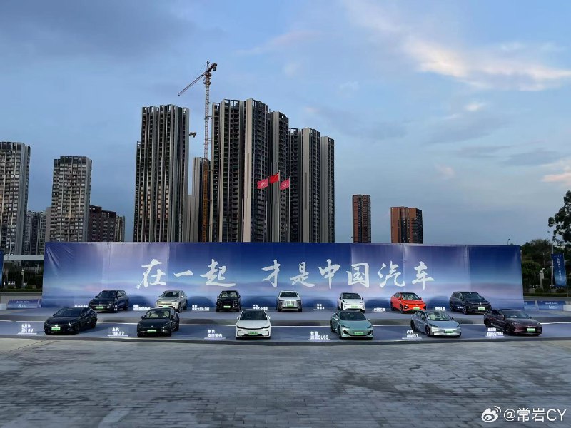 比亚迪最有情怀的营销是在现场做了个“在一起，才是中国汽车”的策划。配图
