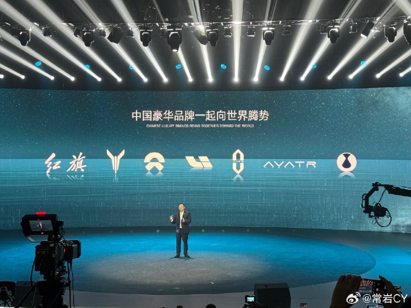 比亚迪眼中的中国豪华品牌：红旗、岚图、蔚来、理想、问界、阿维塔、腾势。配图