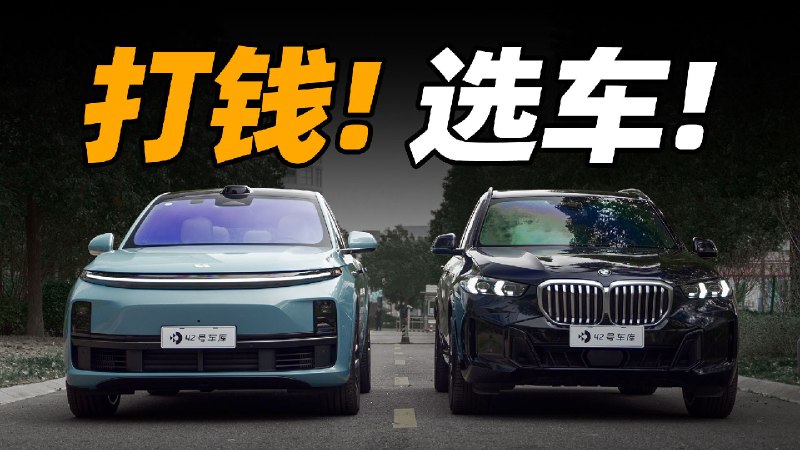 给「路人」100 万预算，这是他们买车的选择配图