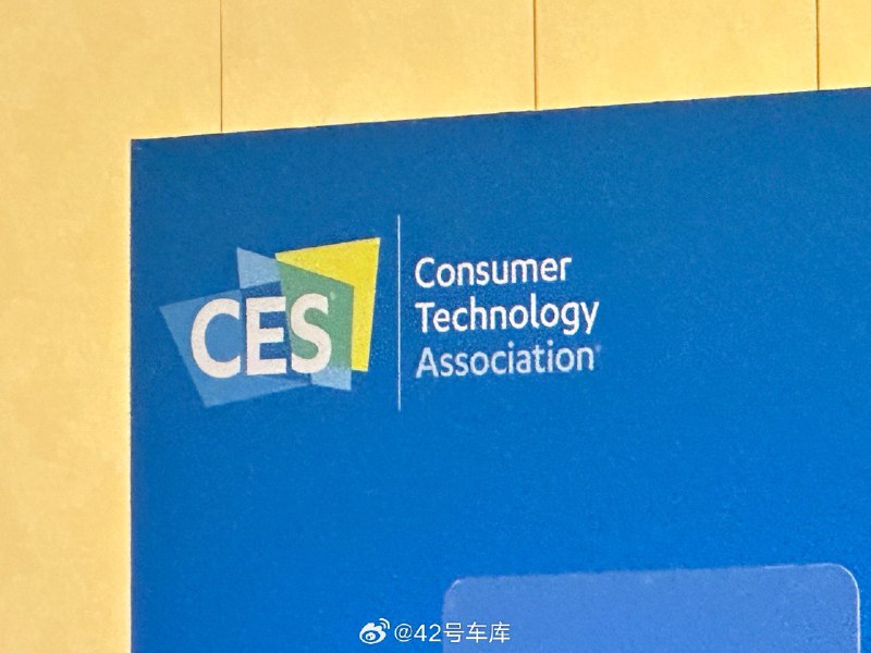 来到拉斯维加斯会展中心参加 CES。配图
