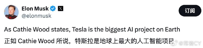 馬斯克：特斯拉是地球上最大的人工智能項目。配圖