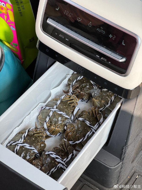 之前我们用这个冰箱放过肯德基的 6 杯冰可乐，满足了一整个拍摄团队的需求。这倒好，到了吃大闸蟹的季节，直接「空运」大闸蟹了，就是怎么除腥？？？ #新能源汽车##42how#配图
